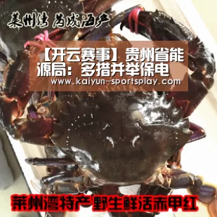 开云体育