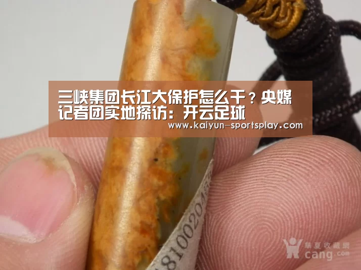开云赛事