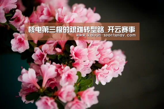 核电第三极的艰难转型路_开云赛事(图1) 开云足球