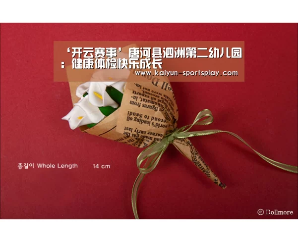 ‘开云赛事’唐河县泗洲第二幼儿园:健康体检快乐成长(图3) 开云篮球