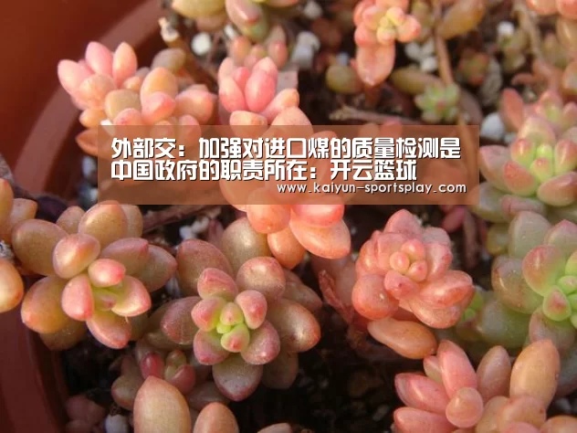 开云赛事